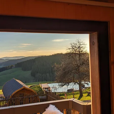 Haberjockelshof Erlebnishof 公寓 蒂蒂湖-新城