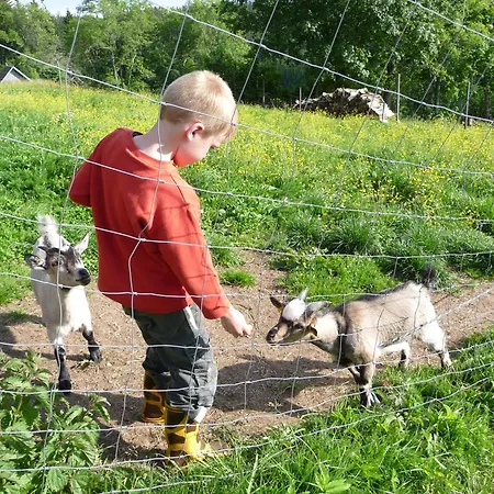 Haberjockelshof Erlebnishof 公寓